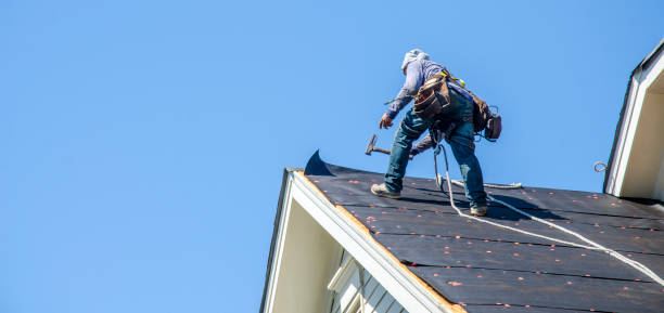 Best Roof Gutter Cleaning  in Coal Fork, WV